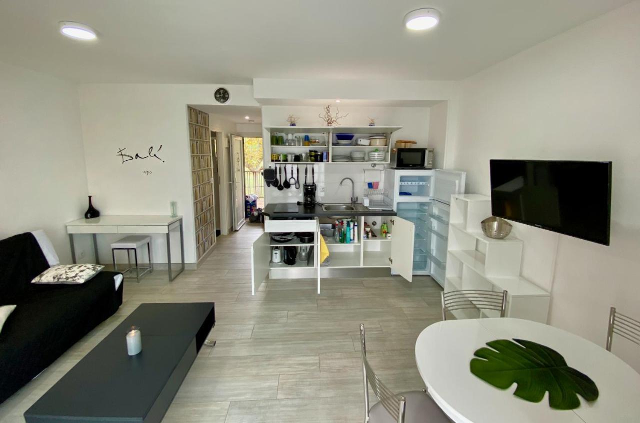 Superbe Appartement , Tout Confort, 40 M2 + 10 M2 Terrasse 艾姆布里亚布拉瓦 外观 照片